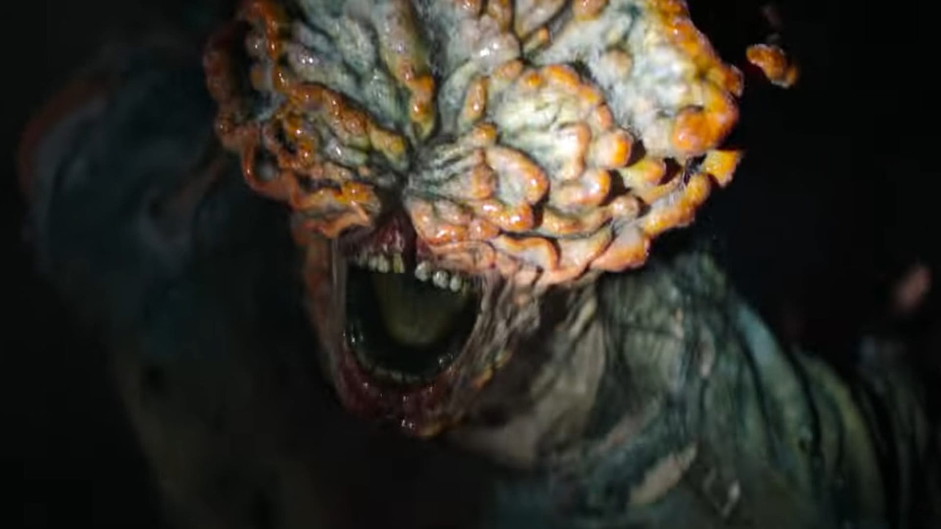 Monstra ze sci-fi The Last of Us vychází z reálného základu přírody