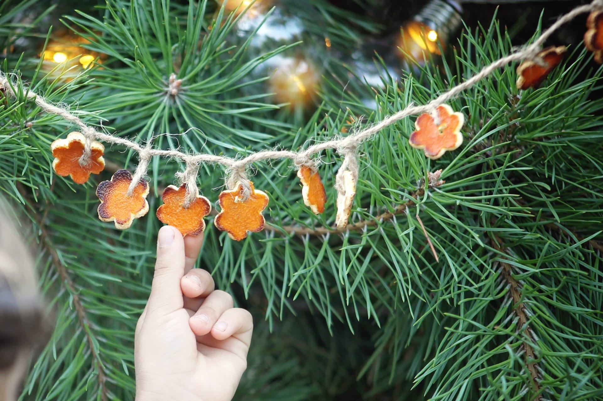 Vánoční řetěz z pomerančové kůry