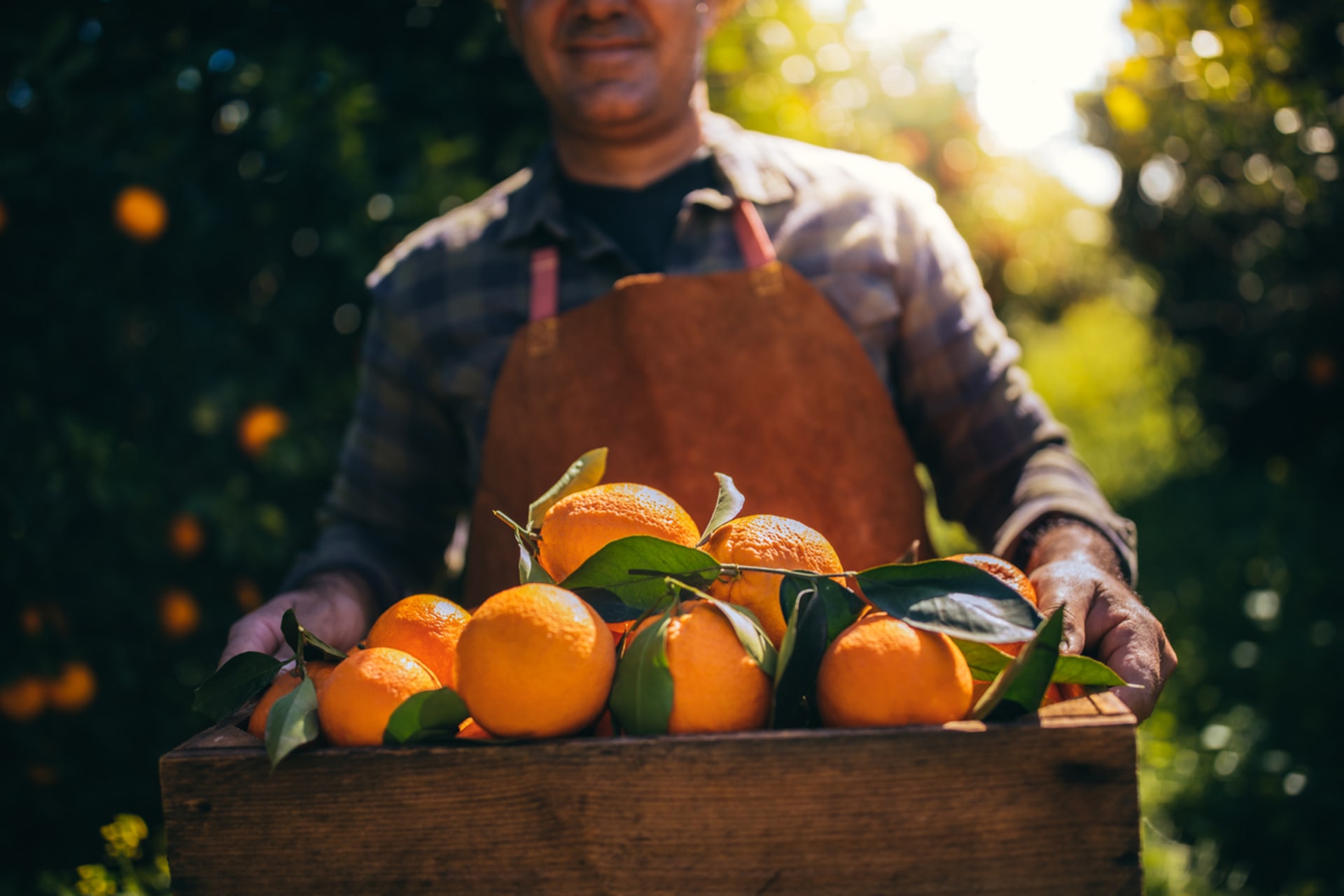 Věděli jste, že můžete darovat i adopci stromu a bedýnku čerstvých pomerančů přímo ze Španělska?