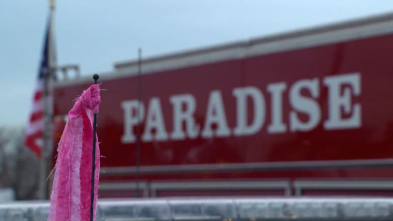 Smutní i celé městečko Paradise, které se na památku zavražděné holčičky obléklo celé do růžové. To byla totiž její oblíbená barva.