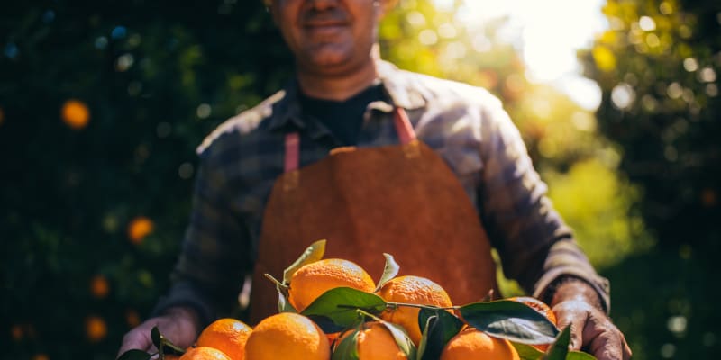 Věděli jste, že můžete darovat i adopci stromu a bedýnku čerstvých pomerančů přímo ze Španělska?