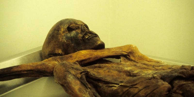 Podle všeho Ötzi zemřel v 45 letech.