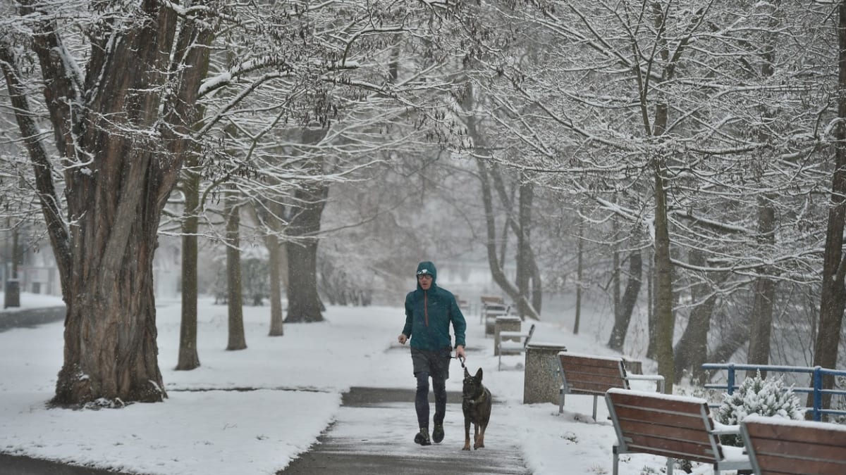 O víkendu by mělo v Česku sněžit, teploty budou mrazivé. (Ilustrační snímek)