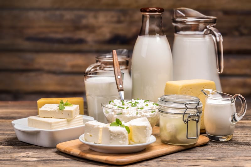 Jak vzniká mléko a mléčné výrobky? 