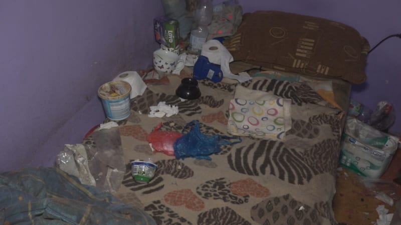 Stařenku v Orlové našli v bytě plném výkalů se zuboženými psy