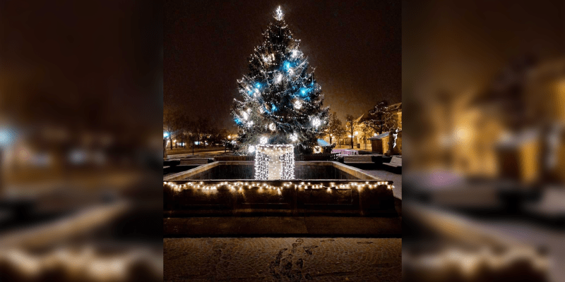 Vánoční strom v Čáslavi 