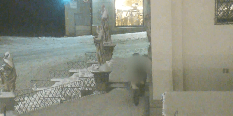 Dvojice se pokusila ukrást vánoční stromeček z náměstí