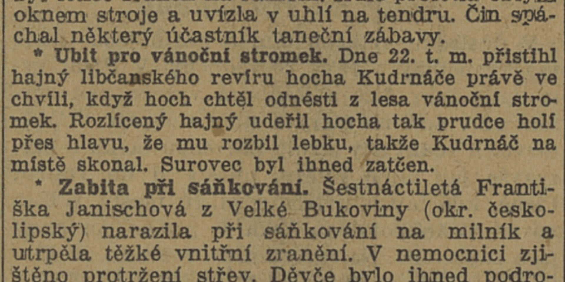 Lidové noviny, 31. 12. 1925. Zdroj Kramerius, Národní knihovna v Praze.