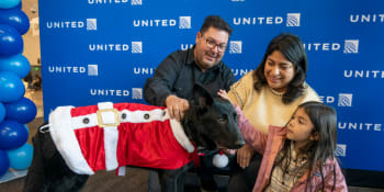 Dojemný vánoční příběh. Majitel odložil štěně na letišti, zvíře adoptoval kapitán letadla