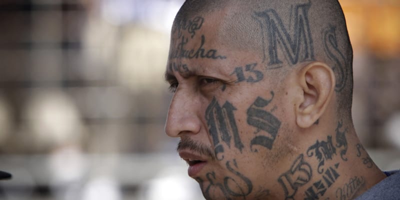 Členy gangu Mara Salvatrucha 13 obvykle zdobí výrazné tetování. 