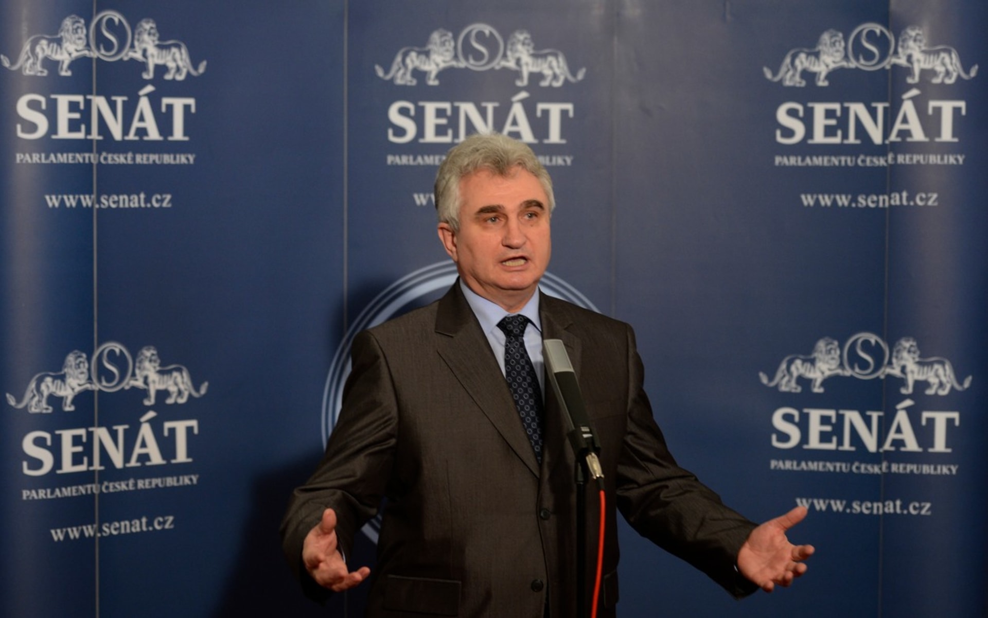 Předseda Senátu Milan Štěch komentuje žalobu na prezidenta, březen 2013 