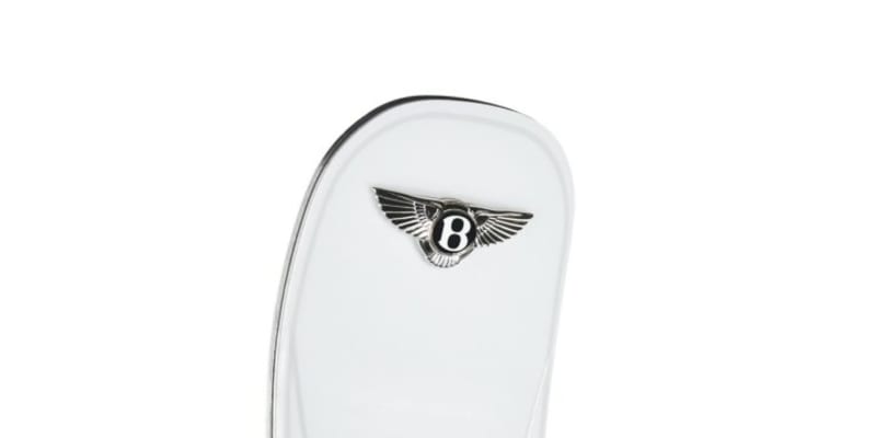 Lyžařské potřeby od Bentley jsou vyráběny ručně z drahých materiálů. 