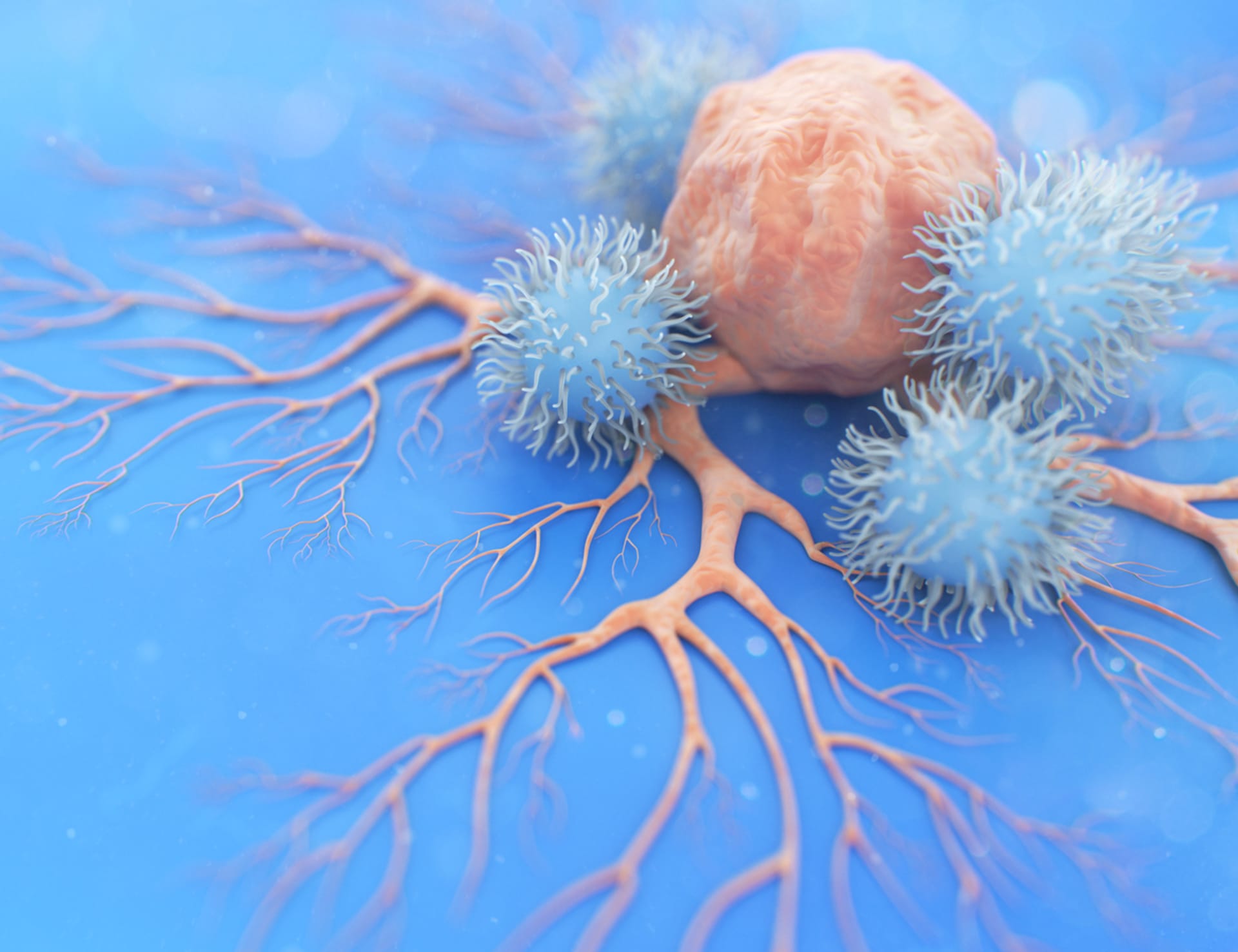 Rakovinná buňka napadená imunitou