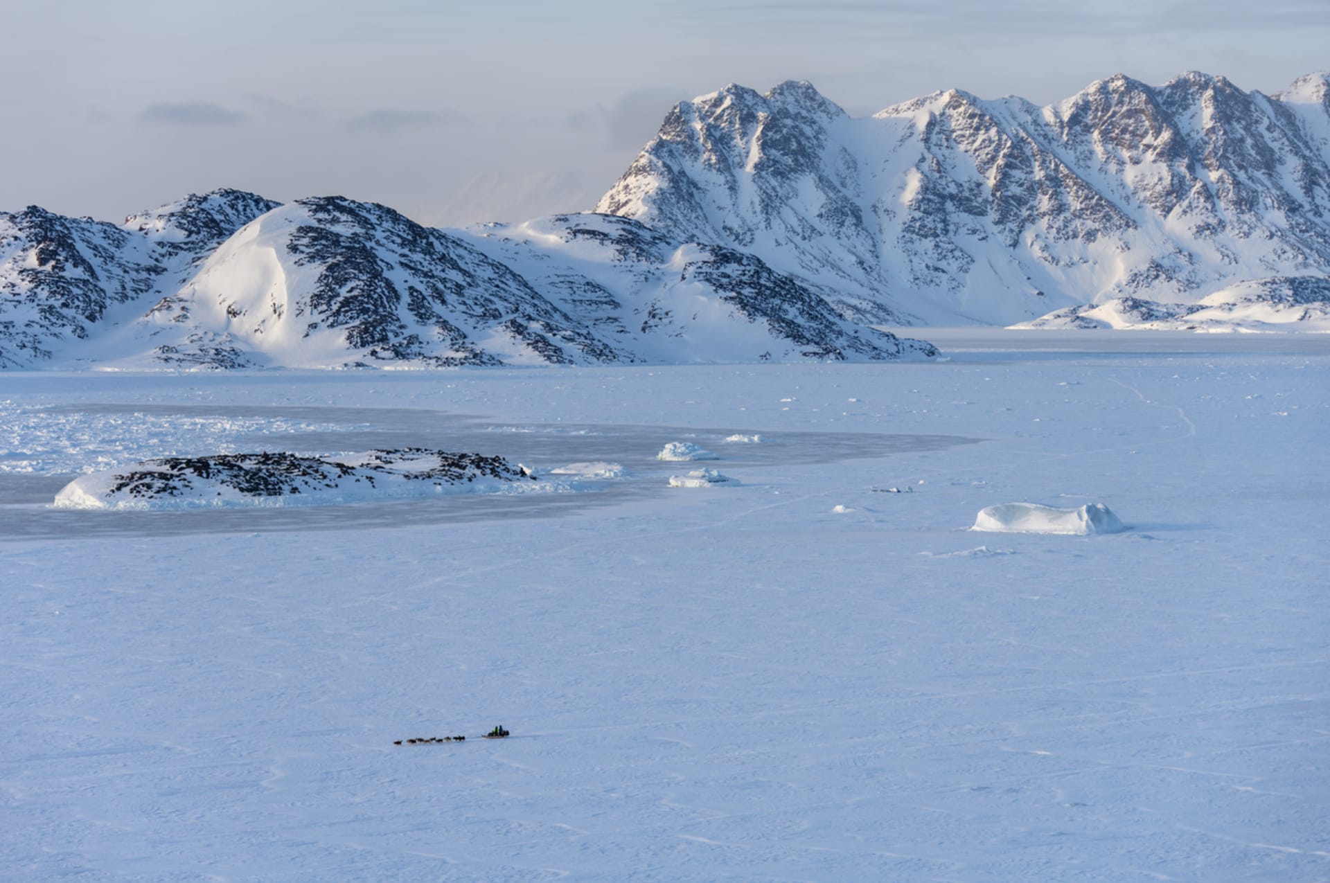 Chladné počasí na území Grónska není zrovna nejlepší podmínkou pro přežití. 