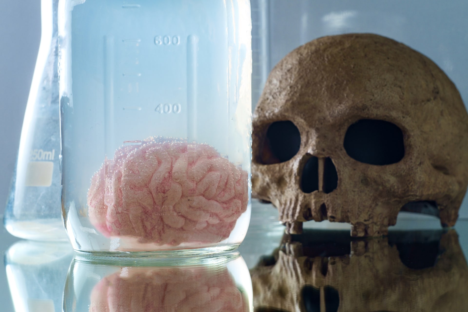 Lidský mozek můžeme uchovat jen díky konzervačním prostředkům