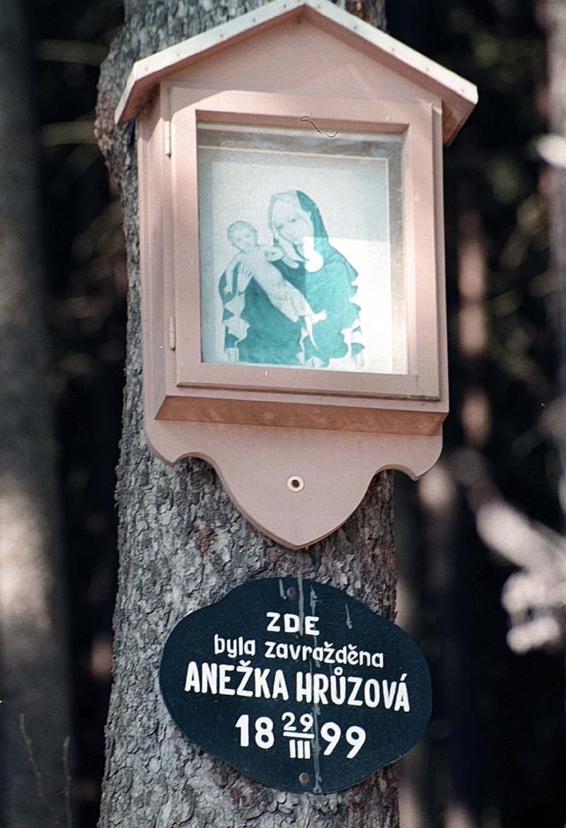V lese nedaleko Polné značí místo vraždy Anežky Hrůzové obrázek Panny Marie Vyšehradské-Dešťové.