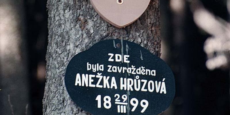 V lese nedaleko Polné značí místo vraždy Anežky Hrůzové obrázek Panny Marie Vyšehradské-Dešťové.