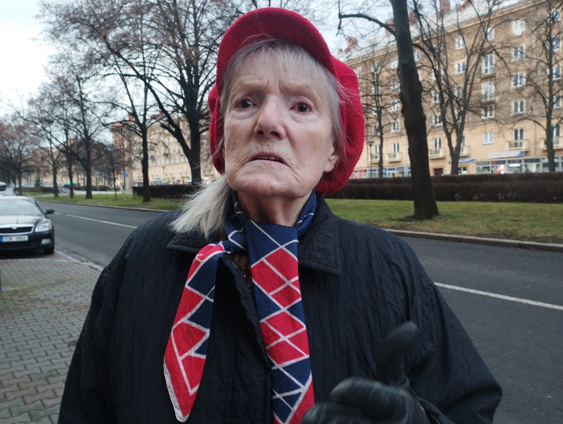 Prezidentské volby, 85letá Mária Removčíková bude volit Andreje Babiše.