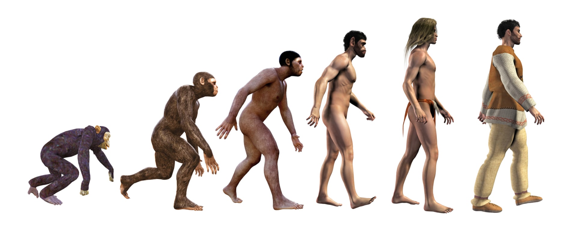 Evoluce člověka je už dobře zmapovaná