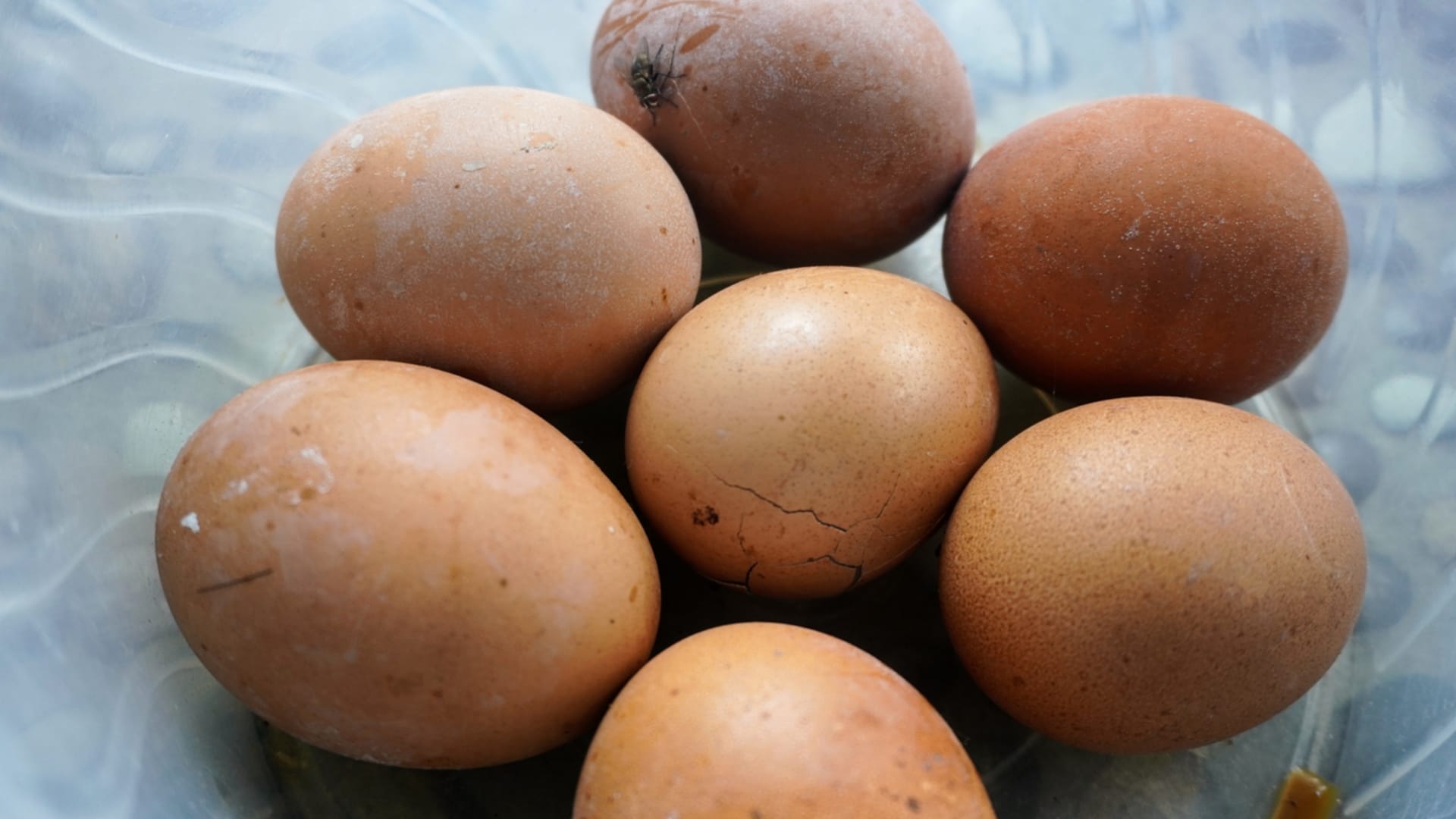 Na vejcích někdy poznáte, že jsou zkažená, i ze skořápky