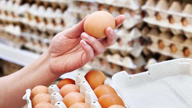 Jak poznat čerstvá vejce a jak dlouho vydrží? Babské rady fungují, mrazák raději nepoužívejte