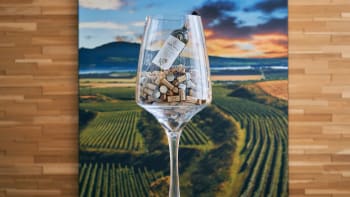 Tip na výlet: Navštivte Salon vín ve Valticích a ochutnejte 100 nejlepších vín pro rok 2023 