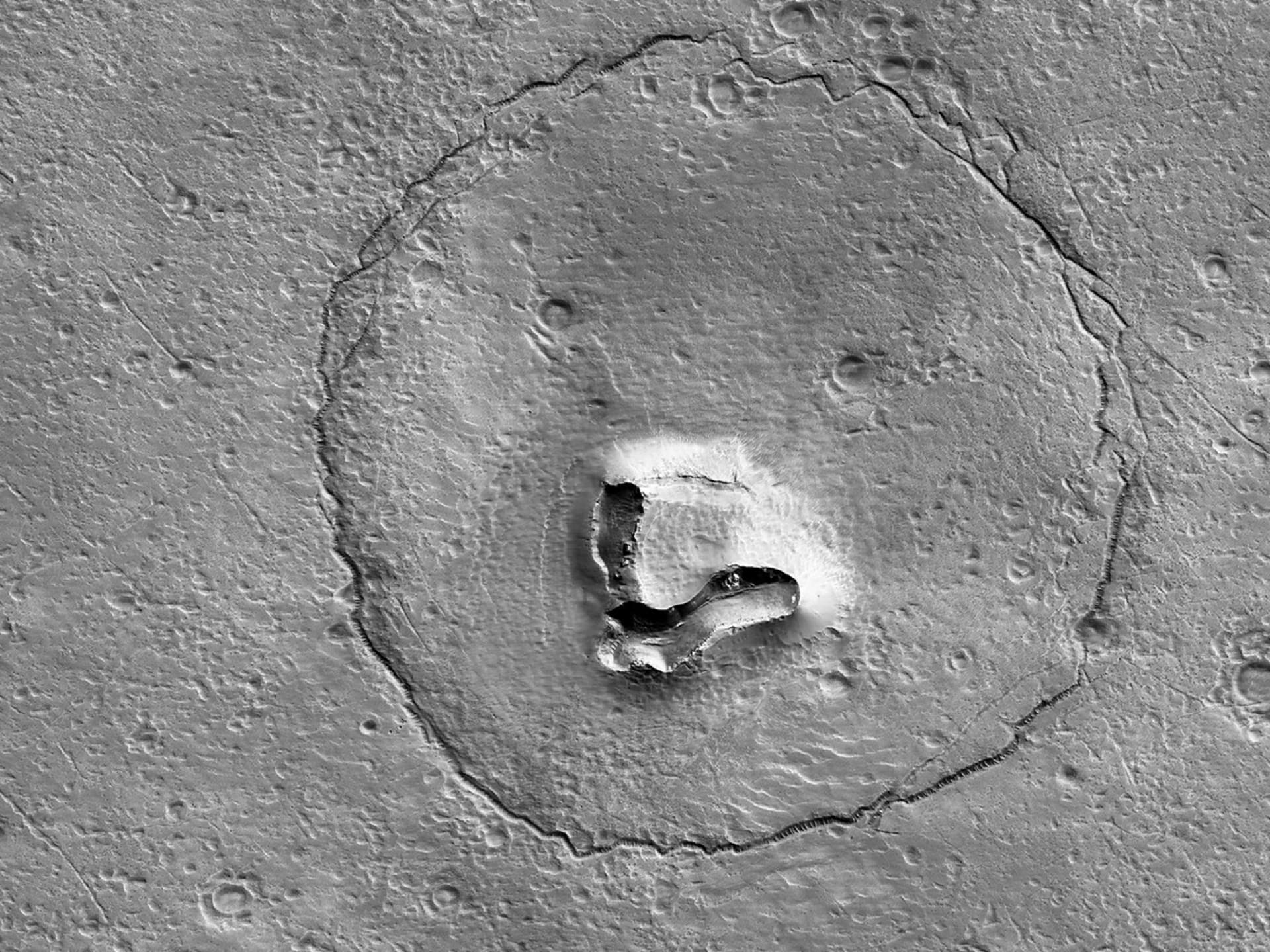 Medvědí obličej na Marsu