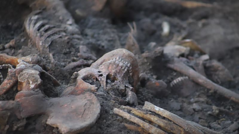 V době velké čistky popravovala NKVD až 1600 lidí denně. Hromadné hroby obětí čistky jsou dnes na Ukrajině předmětem zkoumání