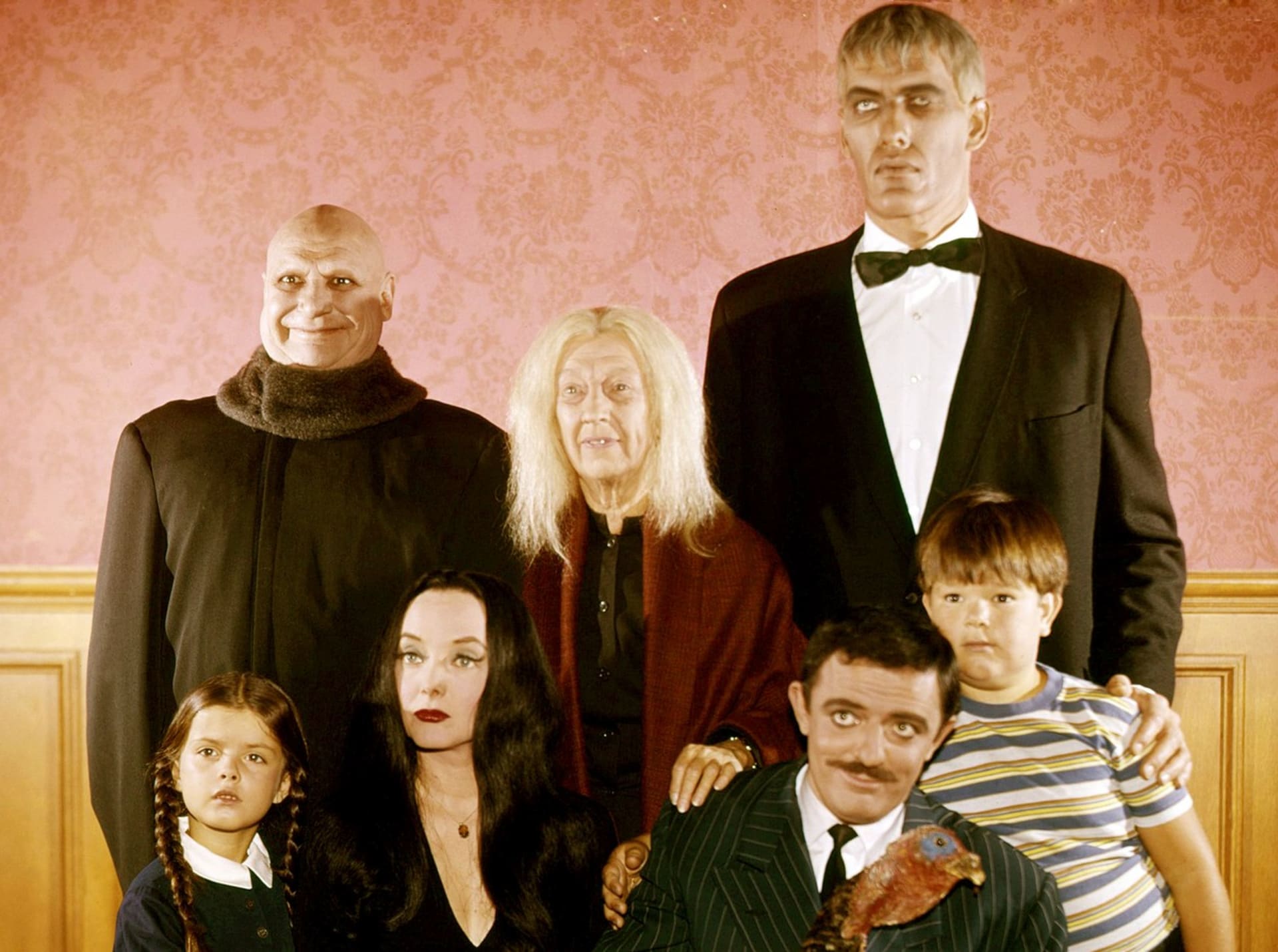 Addamsova rodina (1964) byla populární seriál, který se dočkal dvou řad.