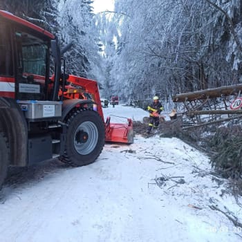Odstraňování stromů ze silnice na Šerlich v Orlických horách. 