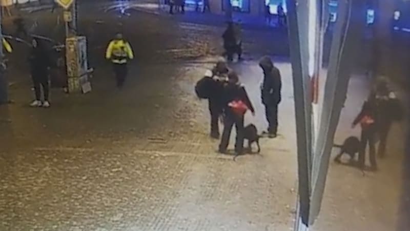 Strážník doběhl bezdomovce a jednu mu zezadu „vrazil“ 