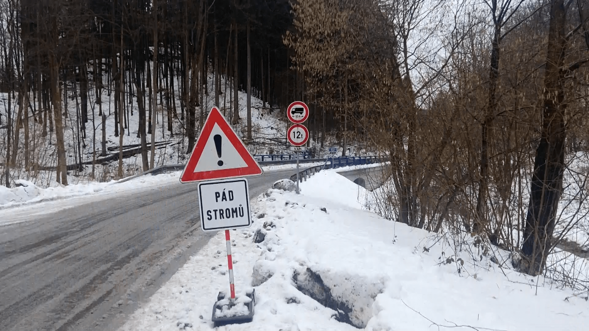 Námraza a sníh odřízly vesnice na Javornicku od elektřiny.
