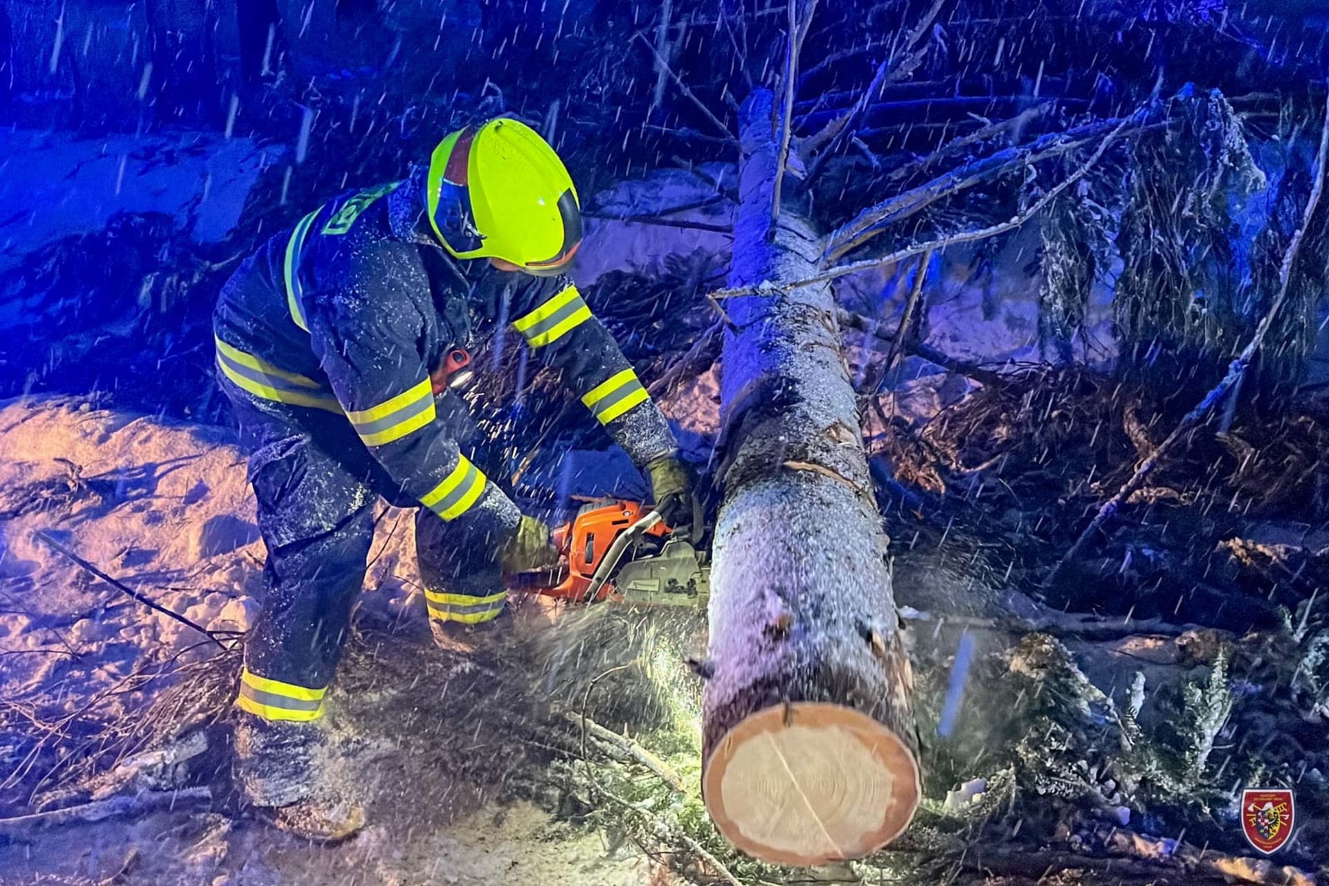 Moravskoslezští hasiči odstraňují spadlé stromy a větve, mají už přes 80 zásahů.