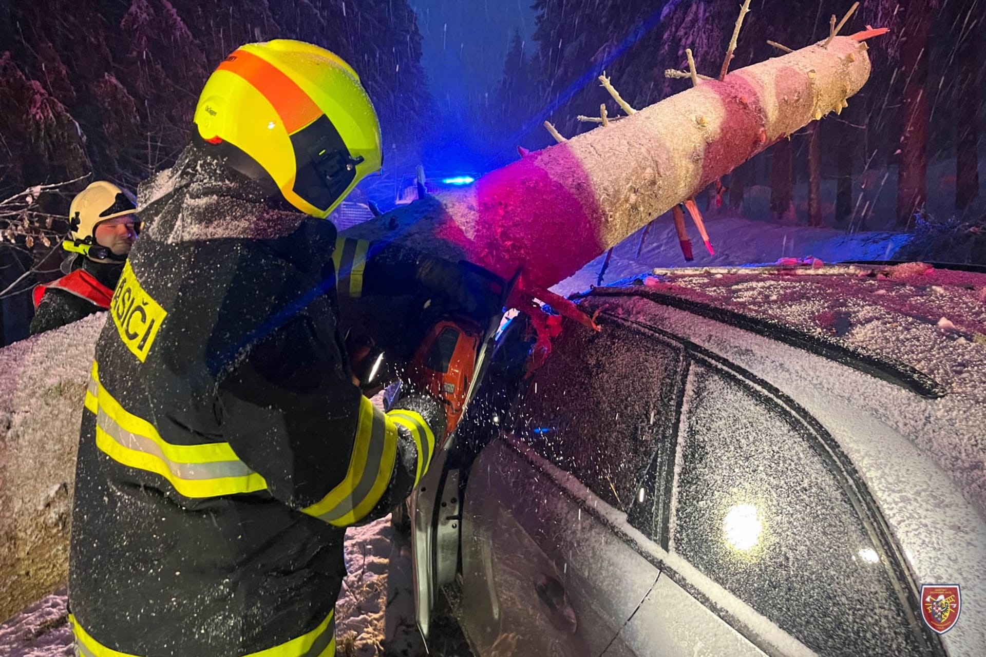 Moravskoslezští hasiči odstraňují spadlé stromy a větve, mají už přes 80 zásahů.