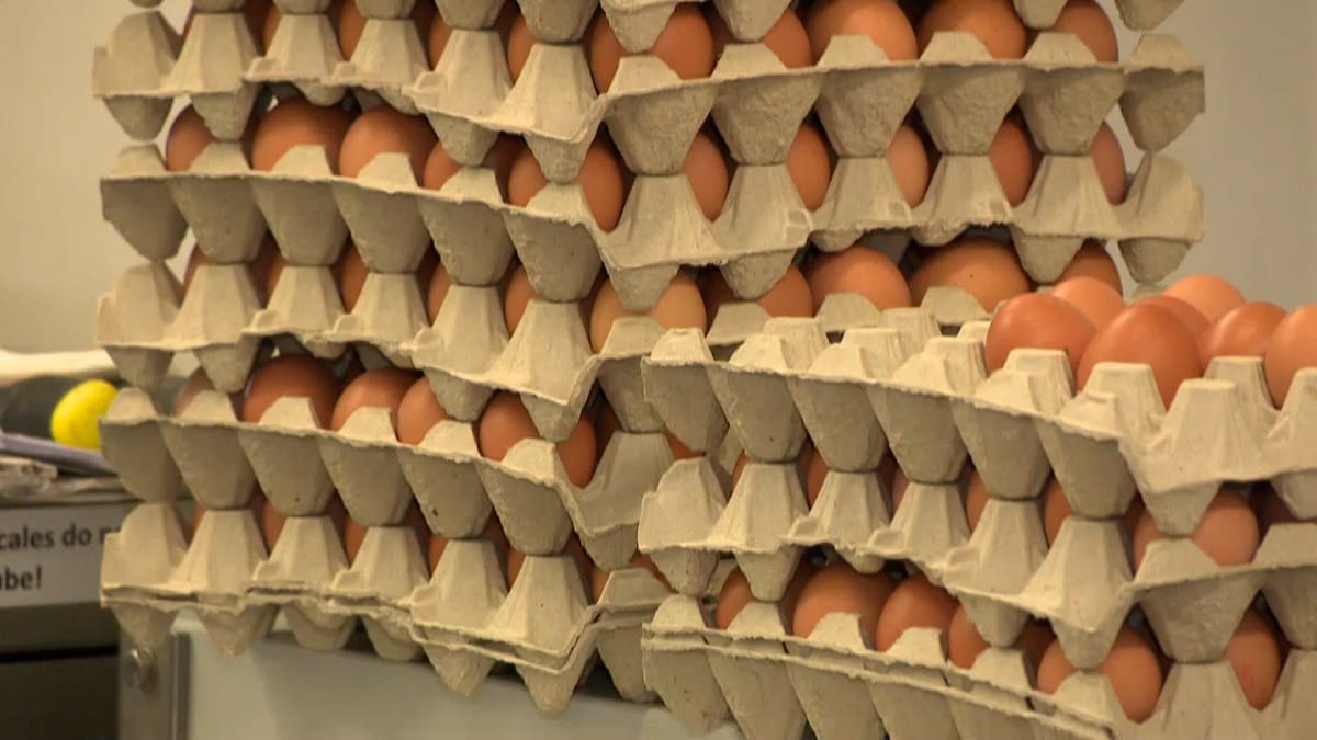 Cena vajec se může vyšplat až na 10 korun za kus, odhaduje chovatel.