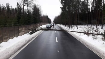 Vítr ochromil Česko. Bez elektřiny je 90 tisíc domácností, na řadě míst kolabuje doprava