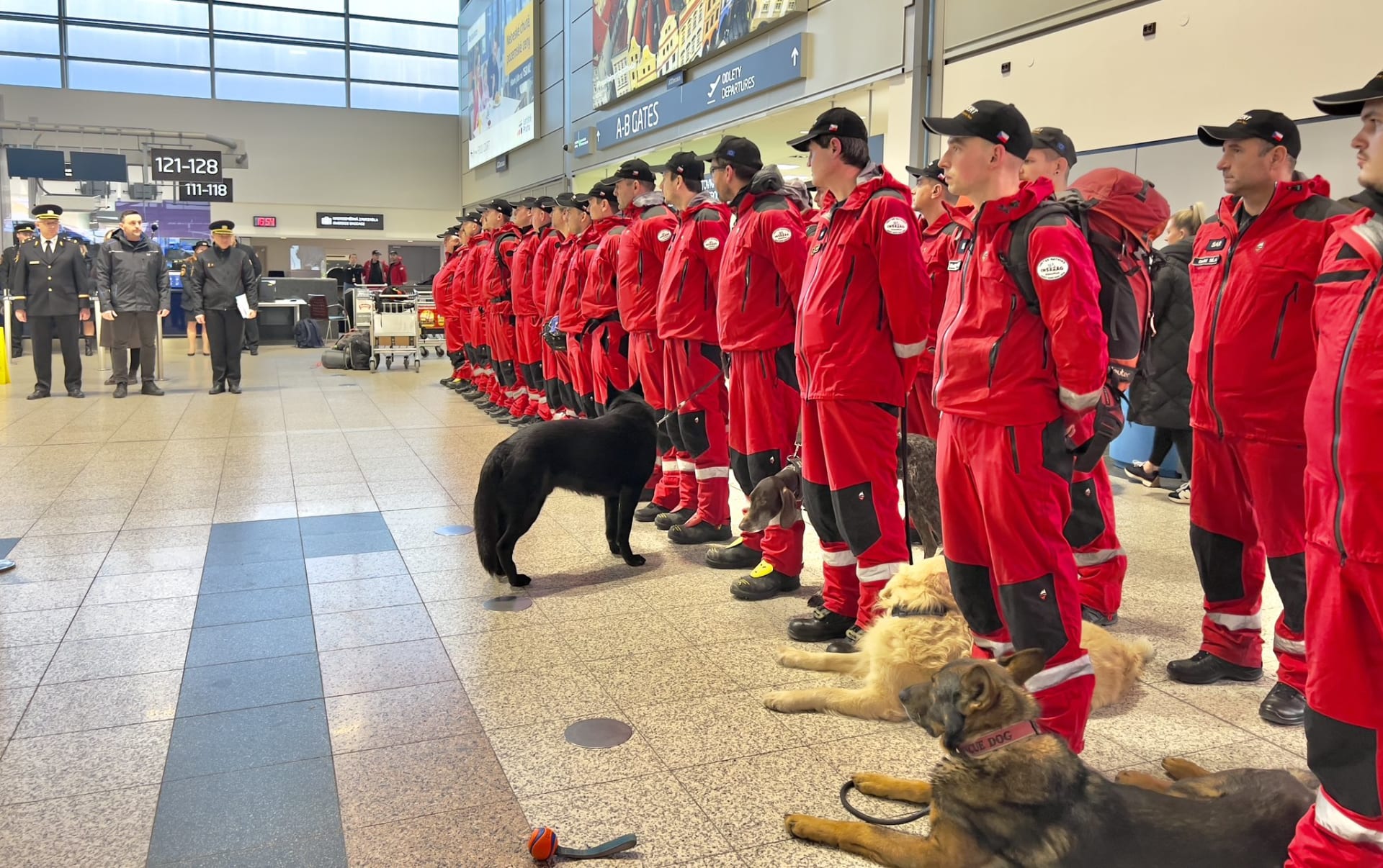 Na pomoc po zemětřesení vyrazilo do Turecka z Prahy a Ostravy 68 členů speciálního týmu hasičů pro vyhledávání v sutinách. Součástí týmu jsou i psi a kynologové.