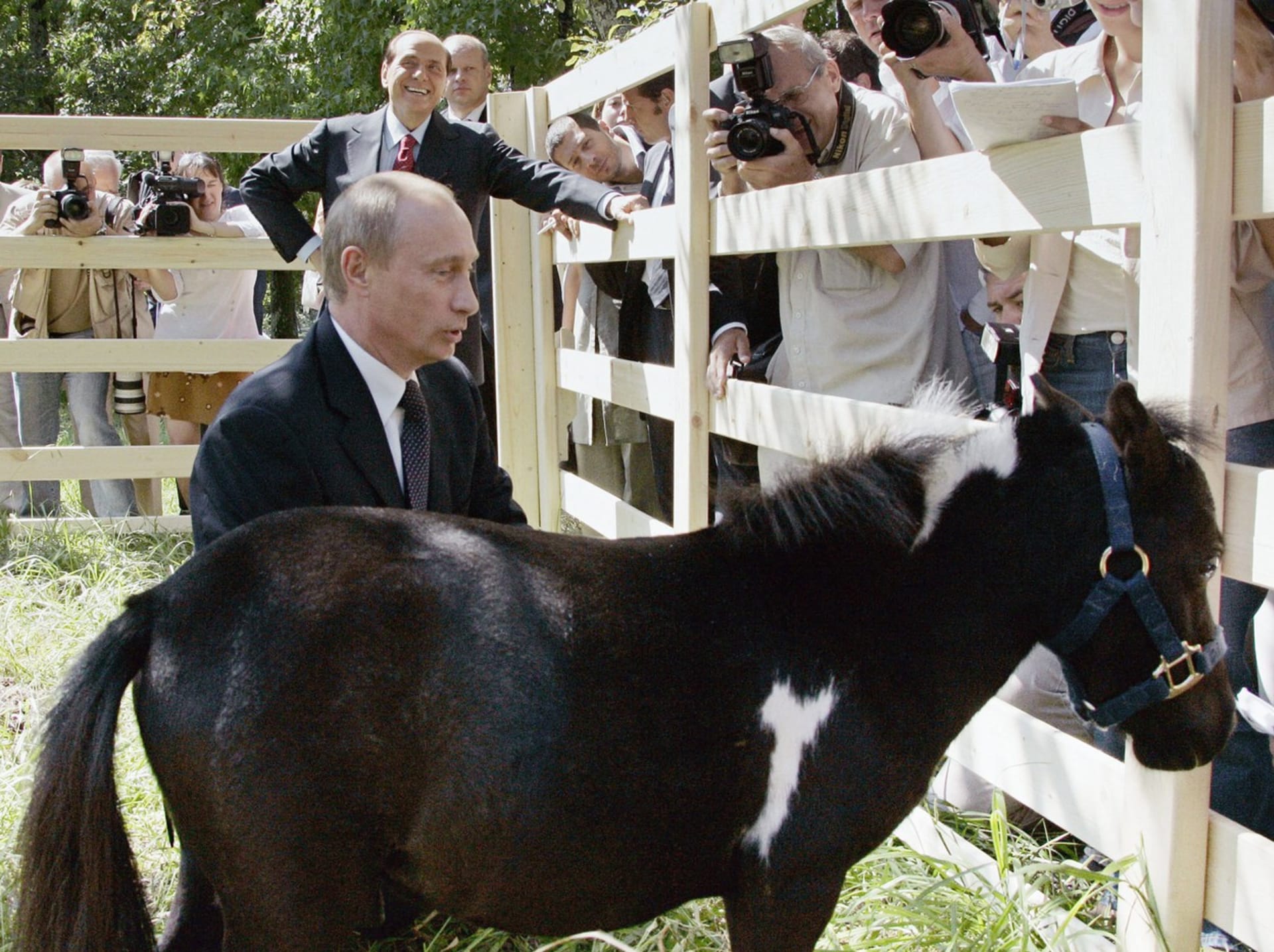 Ruský prezident Vladimir Putin vyobrazený jako trpaslík. Podobné internetové vtipy dělají ruským cenzorům vrásky.
