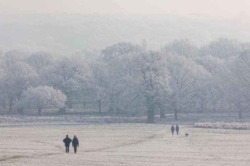 Následky polárního víru už letos v lednu pocítili například obyvatelé Londýna
