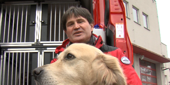 Český pes se vyznamenal v Turecku. Harry zachránil člověka, zvládl to mazácky, říká hasič
