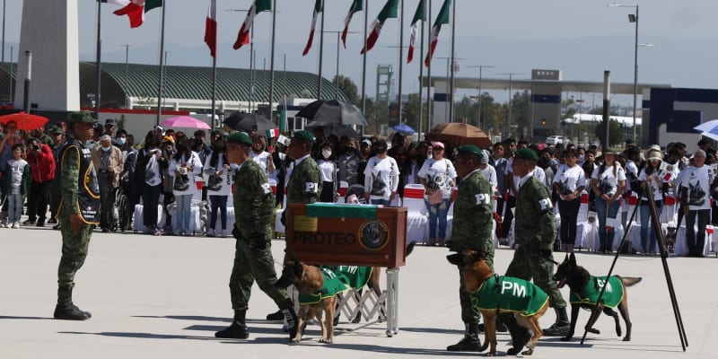 Ostatky psa Protea, který zahynul, když pomáhal po zemětřesení v Turecku hledat přeživší, byly převezeny zpět do Mexika.
