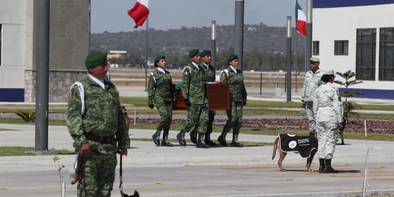 Ostatky psa Protea, který zahynul, když pomáhal po zemětřesení v Turecku hledat přeživší, byly převezeny zpět do Mexika.