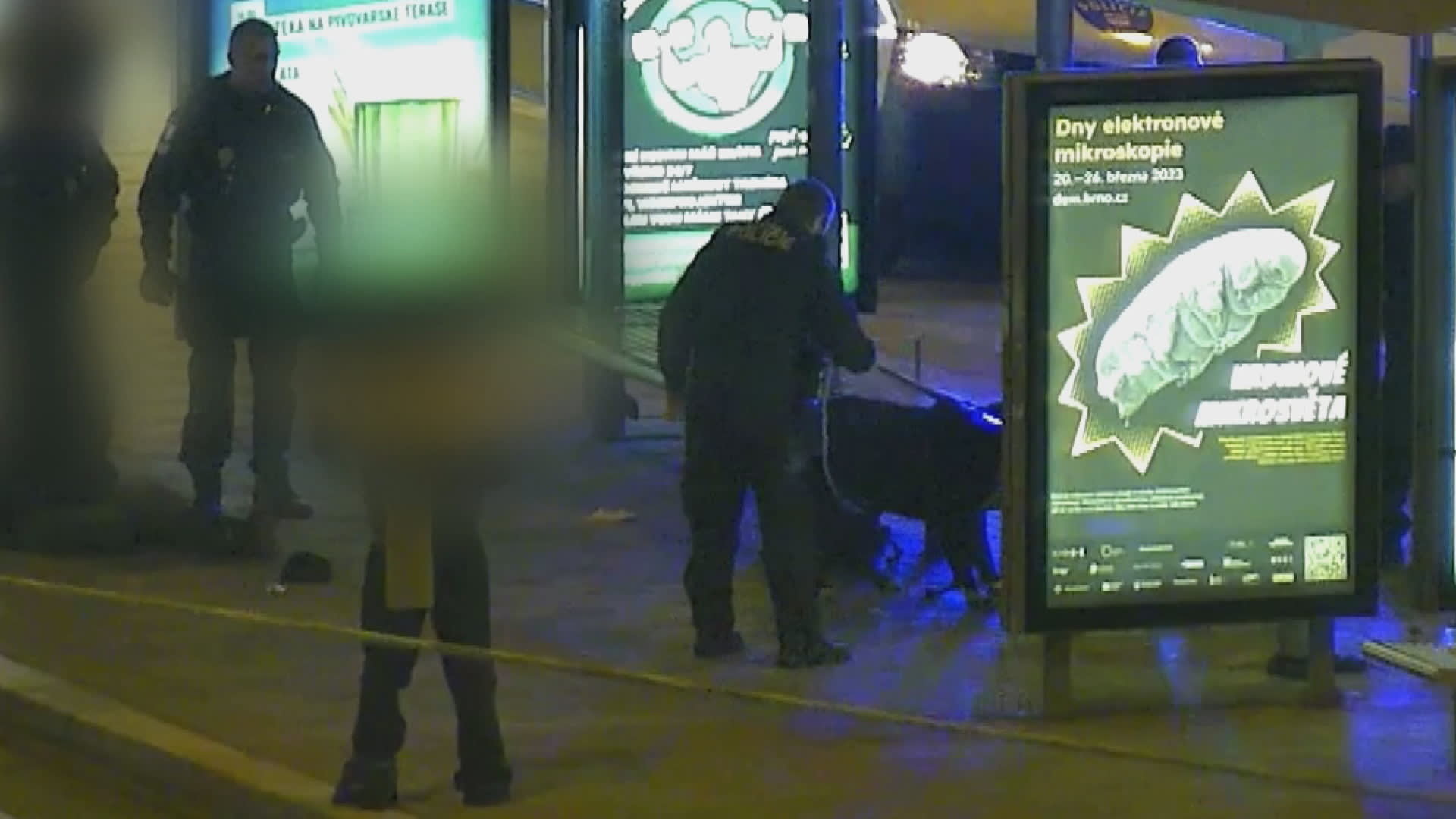 Několik hlídek městské policie zasahovalo v noci na středu u hlavního nádraží v Brně proti psovi, který měl napadnout tři cestující. 