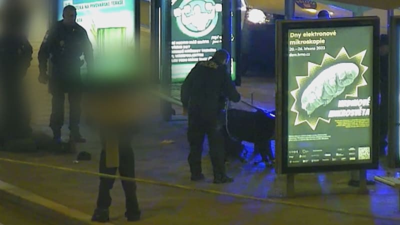 Několik hlídek městské policie zasahovalo v noci na středu u hlavního nádraží v Brně proti psovi, který měl napadnout tři cestující. 