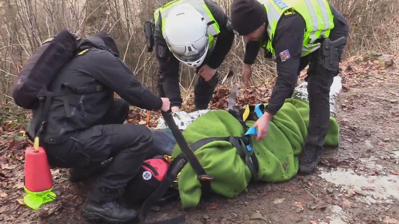 Policisté a dobrovolní hasiči z Moravskoslezského kraje mají za sebou úspěšnou akci. Během tří hodin se jim podařilo vypátrat ztracenou seniorku. (Ilustrační foto)