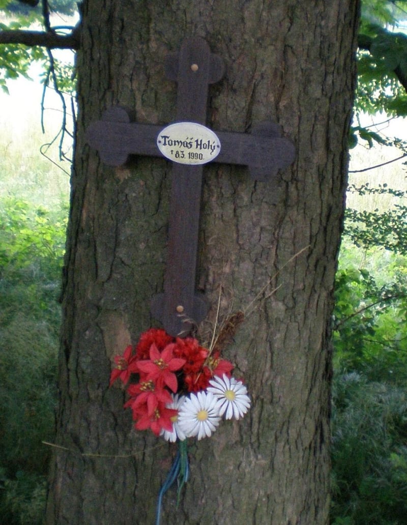 Místo, kde vyhasl život Tomáše Holého připomíná dřevěný kříž na stromě u silnice. 