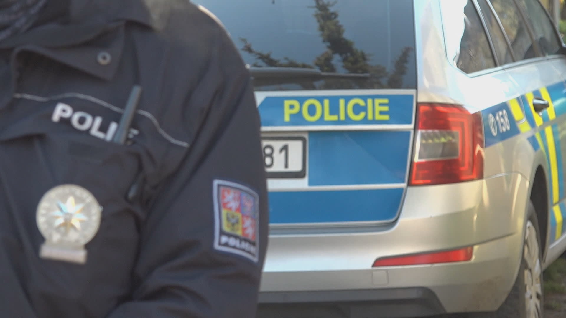  Policisté v Plzni řešili prohřešky svého kolegy (ilustrační snímek). 