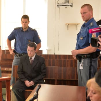 Pražský městský soud začal 16. června projednávat brutální lednovou vraždu jedenadvacetileté dívky v bytě pod Vyšehradem. 