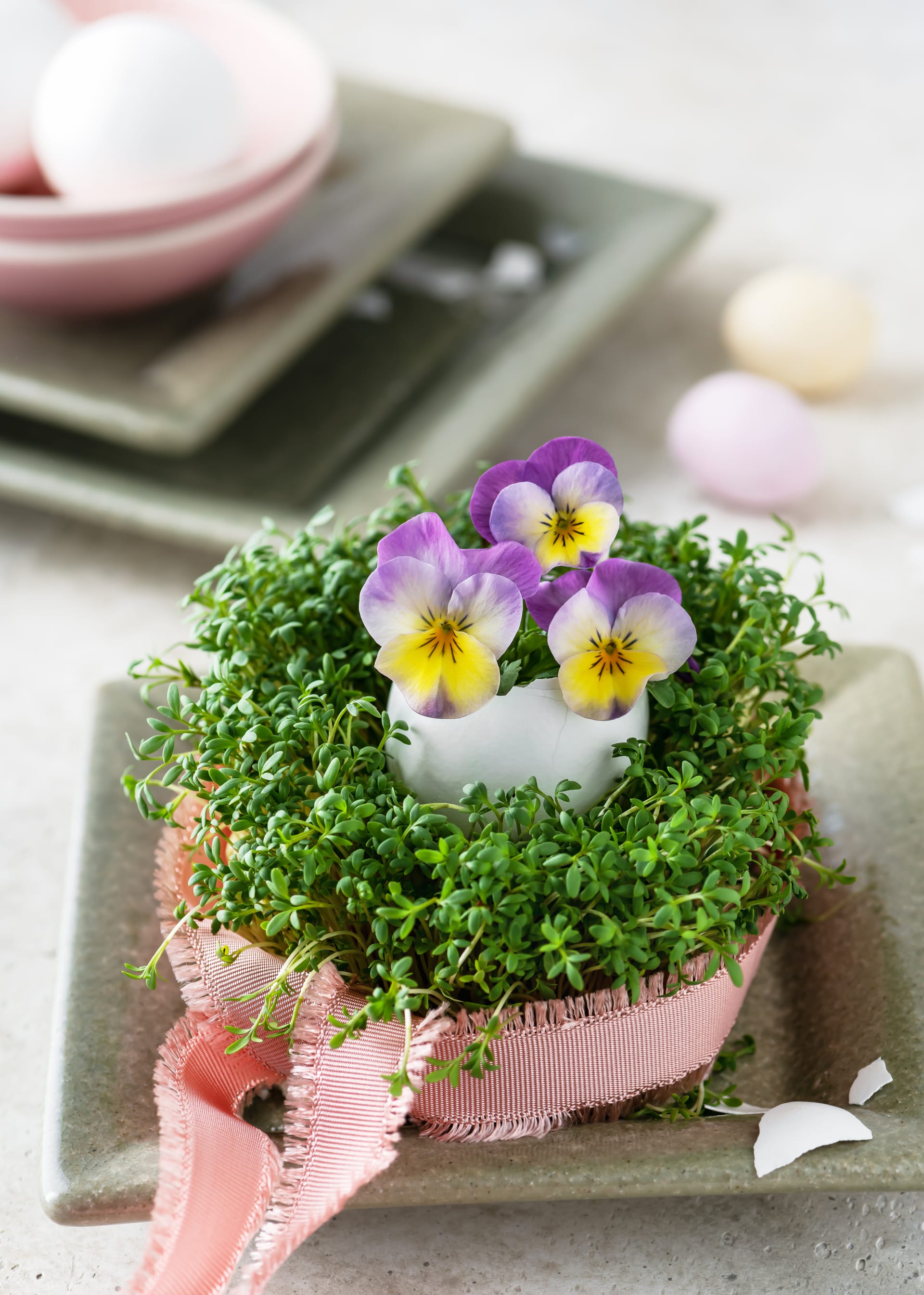 Čerstvě narašená řeřicha a jedlé květy macešek na velikonočním stole