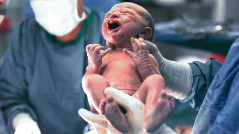 Proč lidé po porodu neolizují novorozence? Mezi savci jsme jediní, kdo to nedělá